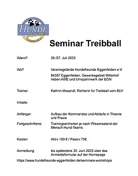 Banner Praxisseminar Treibball